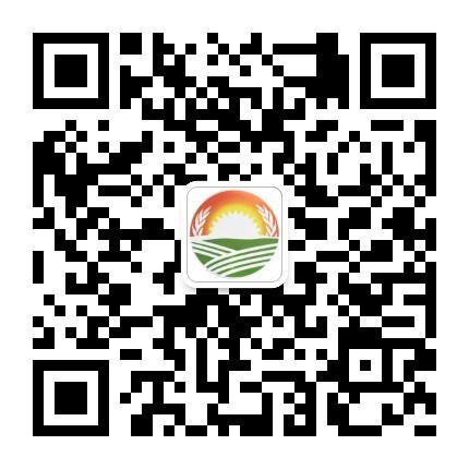关注公众号